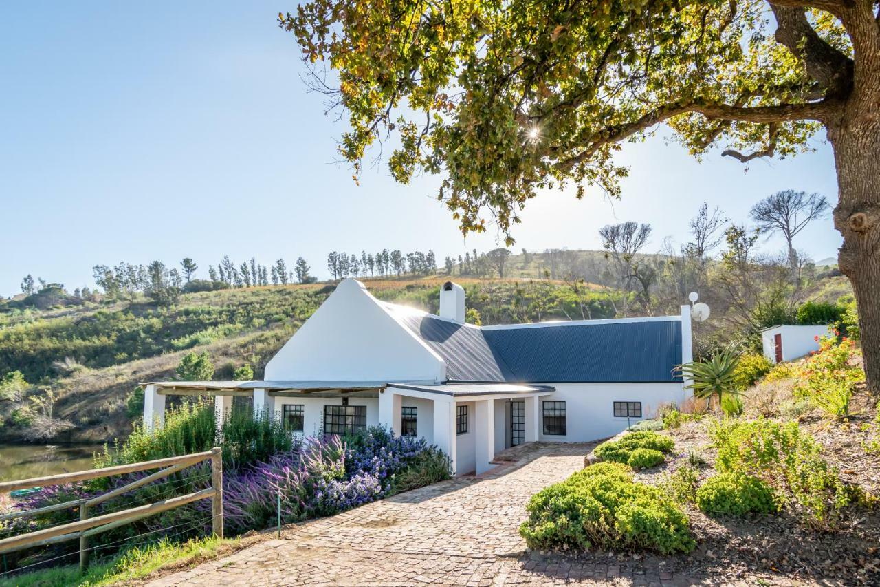 Appartement Druk My Niet Wine Estate à Paarl Extérieur photo